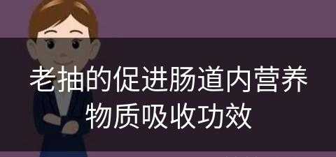 老抽的促进肠道内营养物质吸收功效